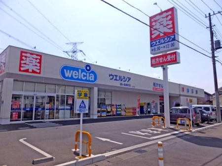 ���ӊ� �y�h���b�O�X�g�A�z�E�G���V�A�߃����V���X�F690m