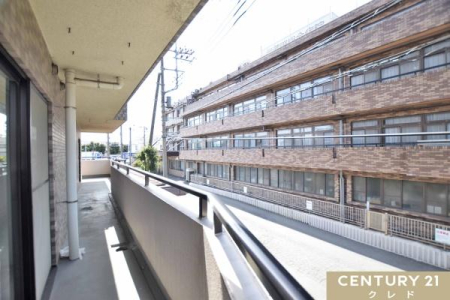 Z˂̒]ʐ^ oRj[̒]łB
SnǂzƑu₩ȕ邱ƂłA󕨂芣Ƃł܂B